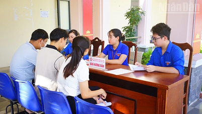 Đà Nẵng tập huấn cho sinh viên tình nguyện về hỗ trợ các phường, xã