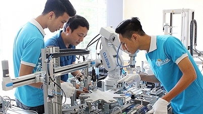 Thị trường lao động đang thừa lượng, thiếu chất
