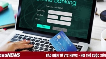 Làm gì để không bị kẻ lừa đảo rút tiền trong tài khoản? 