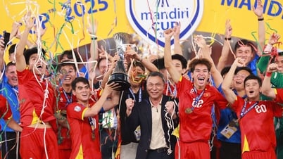 Vietnam Sub-23 recibió un bono de 2 mil millones de VND, "trayendo" la Copa a casa