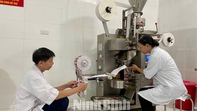 Ứng dụng khoa học công nghệ nâng cao giá trị cây dược liệu