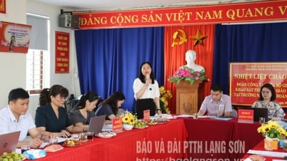 Bộ Giáo dục và Đào tạo: Khảo sát triển khai dạy học STEM cấp mầm non