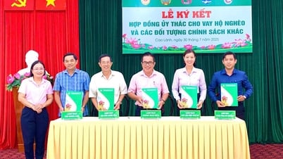 ការិយាល័យប្រតិបត្តិការធនាគារគោលនយោបាយសង្គម Cao Lanh បានចុះហត្ថលេខាលើកិច្ចសន្យាផ្តល់មូលធនឥណទាន