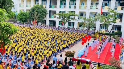 Chức năng, nhiệm vụ của Phòng Văn hóa - Xã hội thuộc UBND cấp xã trong lĩnh vực giáo dục và đào tạo