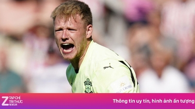 'Vua xuống hạng' gia nhập Newcastle