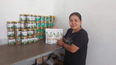Vướng thủ tục sau sáp nhập, nhiều sản phẩm OCOP chưa được hỗ trợ
