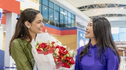 Từ di sản thiên nhiên đến thương hiệu điện ảnh toàn cầu
