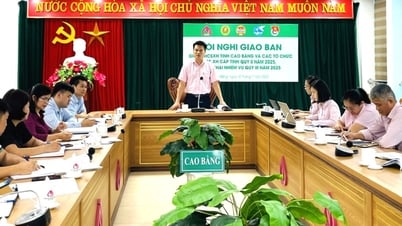 Giao ban công tác ủy thác với các tổ chức chính trị - xã hội cấp tỉnh quý II/2025 - Báo Cao Bằng điện tử