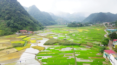 Vân Sơn vươn mình đổi mới