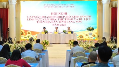 Gặp mặt doanh nghiệp kinh doanh trong lĩnh vực văn hóa, thể thao và du lịch