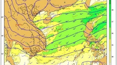 Dự báo mưa, dông rãi rác, đề phòng lốc, sét và gió giật mạnh