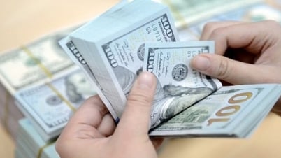 Proposal for strong decentralization and delegation of authority in public debt management