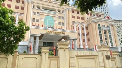 Thanh tra 895 dự án tại các bộ, ngành Trung ương và địa phương