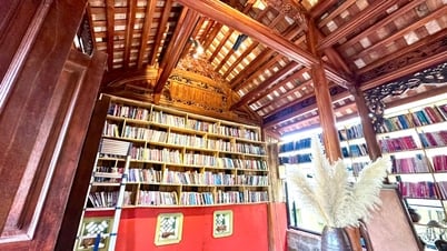 Sáng tạo không gian đọc thân thiện – Hướng mới cho văn hóa đọc bền vững