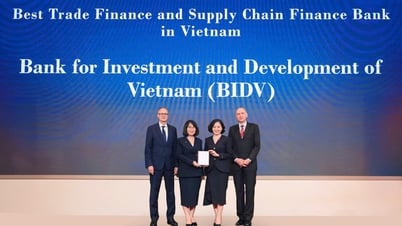 BIDV khẳng định vị thế với giải thưởng tài trợ thương mại quốc tế