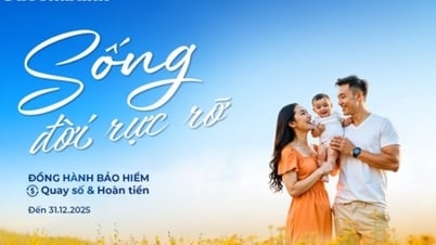 “Sống đời rực rỡ” với ưu đãi về bảo hiểm tại Sacombank