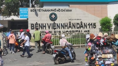 Giám đốc Sở Y tế TPHCM: "Cò" ở Bệnh viện Nhân dân 115 là cò bốc số thứ tự