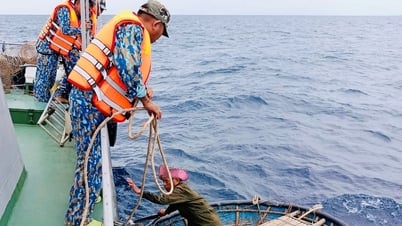 Bộ đội Biên phòng Đà Nẵng kịp thời cứu nạn ghe thúng hỏng máy trôi dạt trên biển