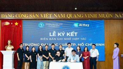 Purely Vietnamese AI start-up gives away 15,000 Pro accounts to students of Ho Chi Minh City University of Law
