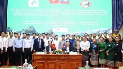 Bàn phương án hợp tác di sản Phong Nha - Kẻ Bàng và Hin Nam Nô