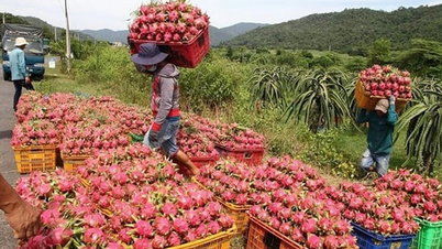 Họp 'nóng' tìm cách khơi thông ách tắc nông sản xuất châu Âu