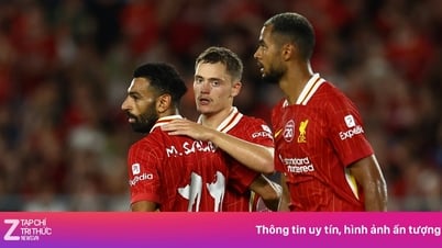 'Bom tấn' trăm triệu bảng của Liverpool tỏa sáng