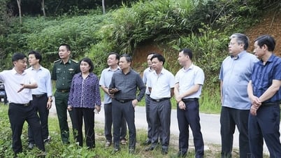 Sơn La: Khảo sát địa điểm xây dựng trường nội trú liên cấp tại các xã biên giới
