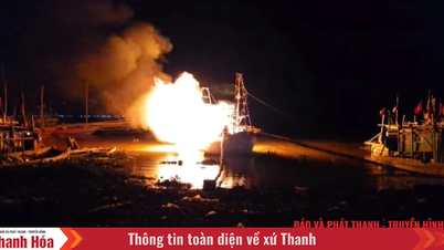 Cháy tàu cá neo đậu tại bến cá Lạch Trường