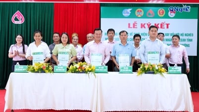 Ký kết hợp đồng uỷ thác cho vay giữa Ngân hàng Chính sách xã hội và các tổ chức chính trị - xã hội