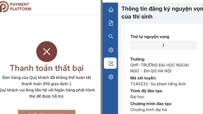 Nhiều thí sinh gặp sự cố khi nộp lệ phí xét tuyển đại học