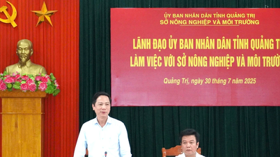 Cần tạo ra một bức tranh nông nghiệp với nhiều tầng sinh thái đặc sắc