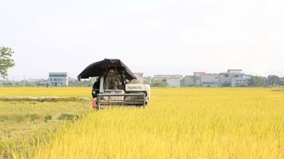 Tin tức đặc biệt trên báo in Hànộimới ngày 30-7-2025