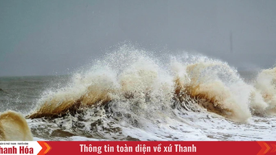 Chủ động ứng phó với gió mạnh, sóng lớn và mưa dông trên biển