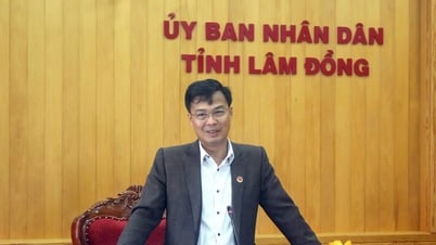 Lãnh đạo UBND tỉnh Lâm Đồng làm việc về ý tưởng phát triển công nghiệp văn hóa