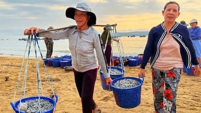 Nguồn vốn chính sách tiếp sức cho ngư dân
