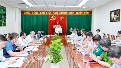 Phấn đấu năm 2027 hoàn thành đầu tư xây dựng cơ sở vật chất trường học cho 8 xã biên giới