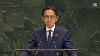 Giải quyết hòa bình vấn đề Palestine: Việt Nam cam kết ủng hộ và đóng góp cho tiến trình thực thi giải pháp hai Nhà nước