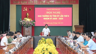 Hội nghị Ban Thường vụ Tỉnh ủy lần thứ 6, nhiệm kỳ 2020 - 2025