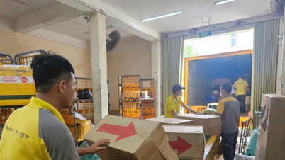 Bưu chính tỉnh Quảng Trị: Nỗ lực giữ nhịp kết nối sau sáp nhập