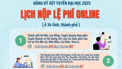 Những lư ý khi nộp lệ phí đăng ký xét tuyển đại học, cao đẳng năm 2025 trực tuyến