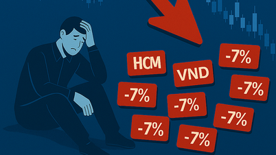 Vì sao chứng khoán giảm mạnh? Nhà đầu tư phải làm gì?