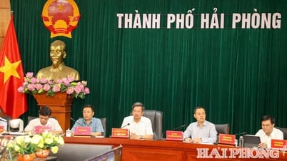 Bộ Xây dựng bàn giao tuyến đường thủy nội địa quốc gia về thành phố Hải Phòng trước ngày Quốc khánh