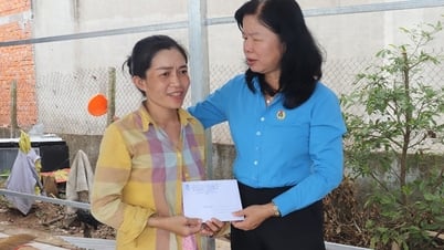 សហព័ន្ធការងារខេត្តដុងថាប ចុះសួរសុខទុក្ខ និងគាំទ្រសមាជិកសហជីព និងកម្មករដែលរងផលប៉ះពាល់ដោយព្យុះលេខ៣