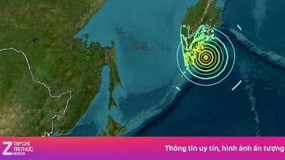 Vì sao AI thất bại khi dự đoán sóng thần