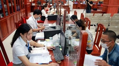 Bộ Nông nghiệp và Môi trường đề xuất bãi bỏ hàng loạt thủ tục không cần thiết