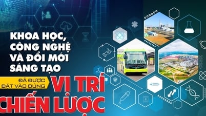 Khoa học, công nghệ và đổi mới sáng tạo đã được đặt vào đúng vị trí chiến lược