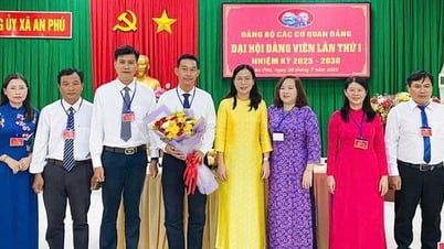 Đại hội Đảng bộ các cơ quan Đảng xã An Phú, nhiệm kỳ 2025 - 2030