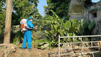 Phun khử khuẩn xử lý môi trường sau mưa lũ tại phường Cam Đường