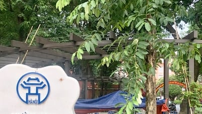 Loay hoay giữ gìn vẻ đẹp công viên, vườn hoa