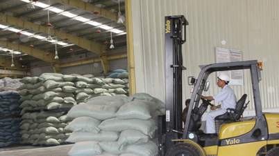 Gia Lai: Chấp thuận cho Công ty TNHH ANT đầu tư 80 tỷ đồng thực hiện Dự án trại heo giống